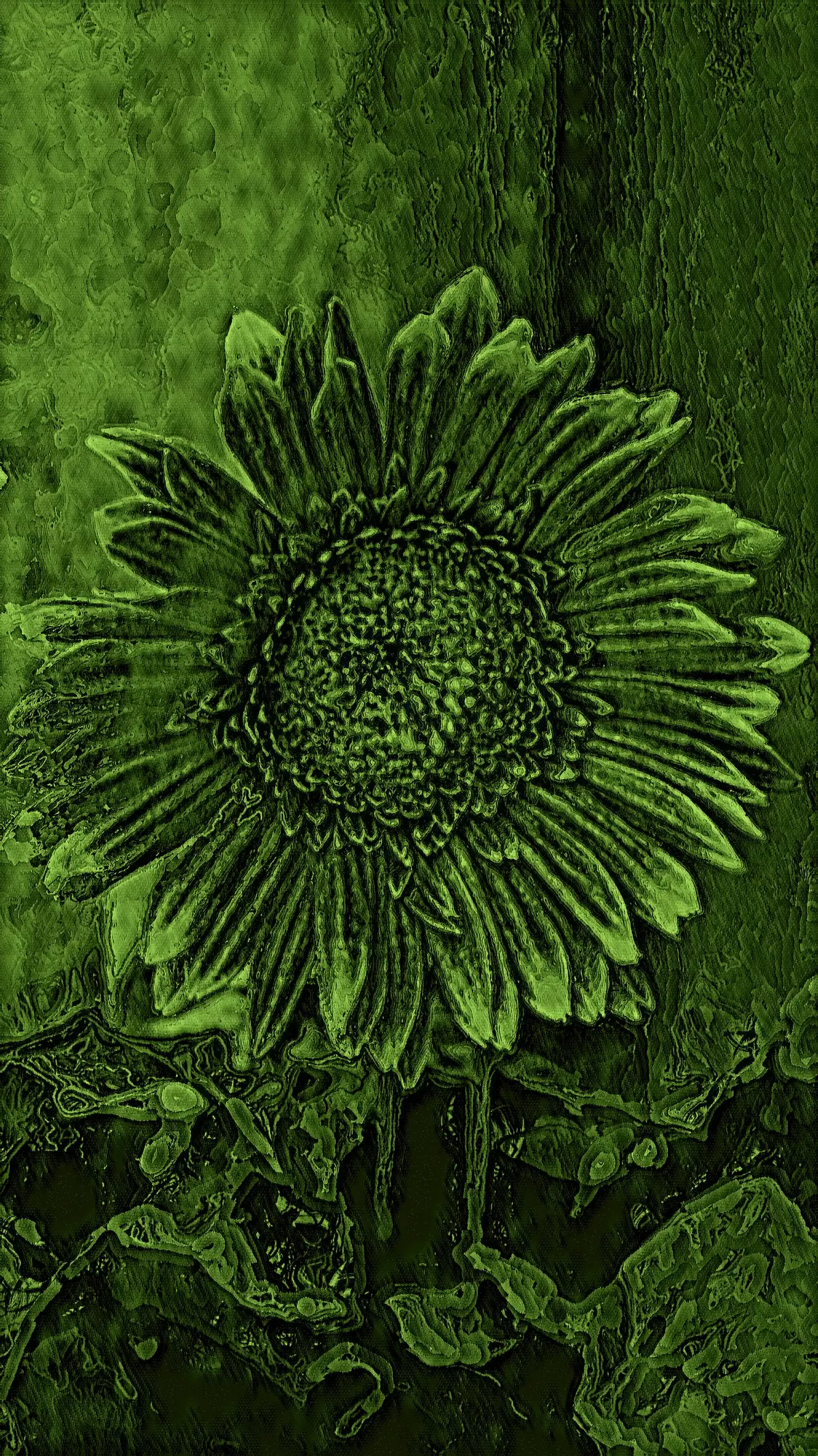 Sunflower etched in green tones