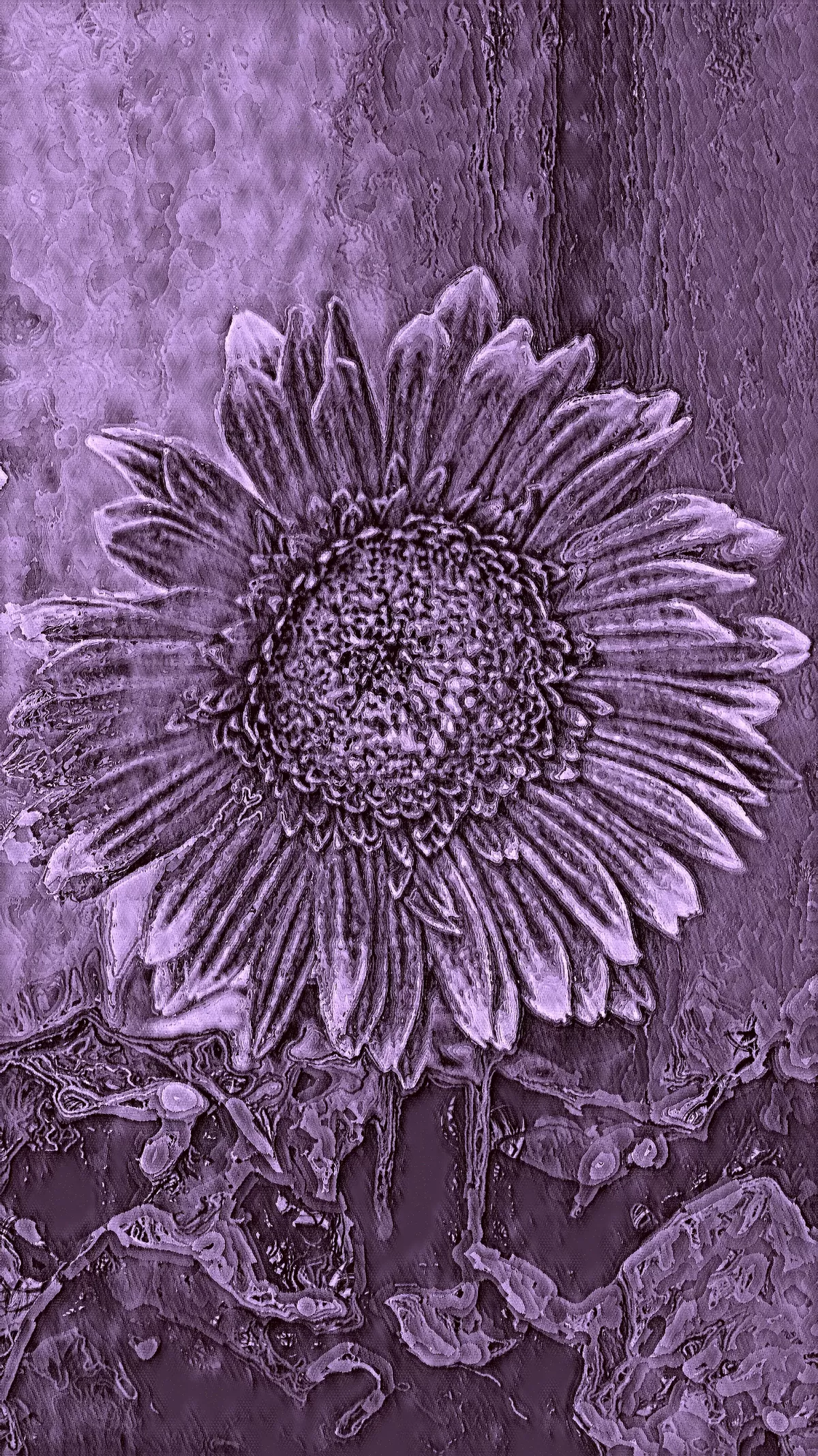 Sunflower in purple tones
